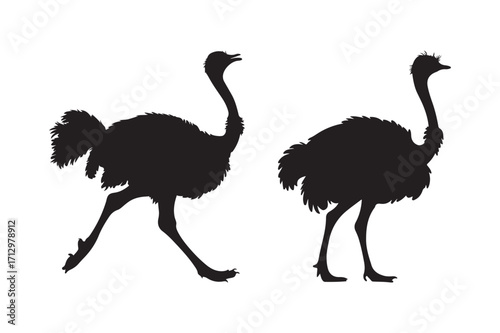 Two silhouetted ostriches in motion on a white background