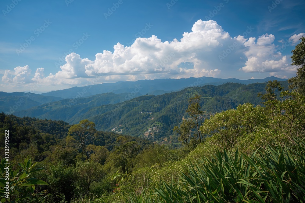 Naklejka premium A Mountainous Terrain Abundant With Vegetation And Forests