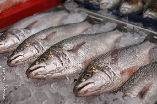 Close-up of fresh seafood d...