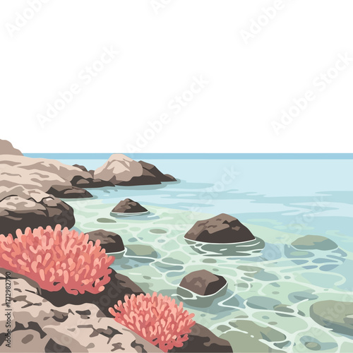 Rocky coastline with clear water and coral formations.