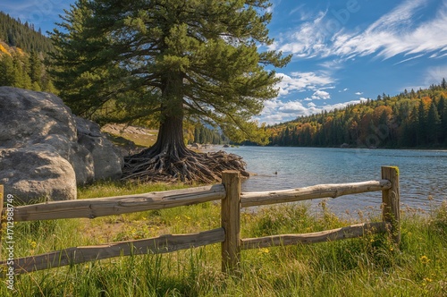 A towering conifer stands n...