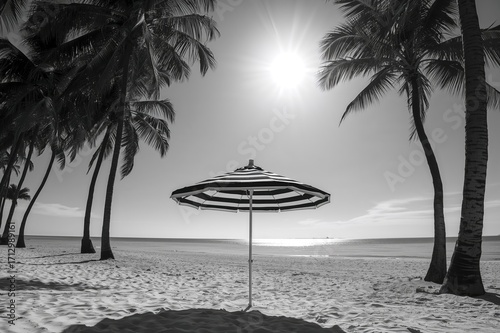 Black and white striped sun...