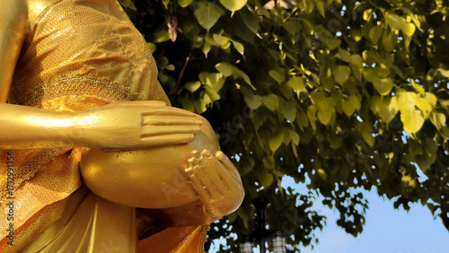 Close up old Buddha statue with raw of Brass. Hand of buddha statue holding monk's alms bowl with bodhi tree background.  Buddhist believe and merit or Calm and meditation Believe, Culture. Copy space