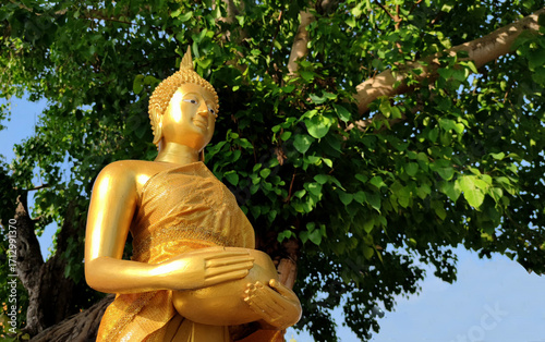 Medium shot Buddha statue with raw of Brass. Hand of buddha statue holding monk's alms bowl with bodhi tree background.  Buddhist believe and merit or Calm and meditation. Thai Culture. Copy space.