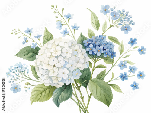 A beautiful watercolor painting of a bouquet of hydrangeas and forget me nots on a white background