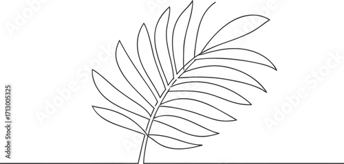 Single continous line art line drawing a palm frond a leaf tropical