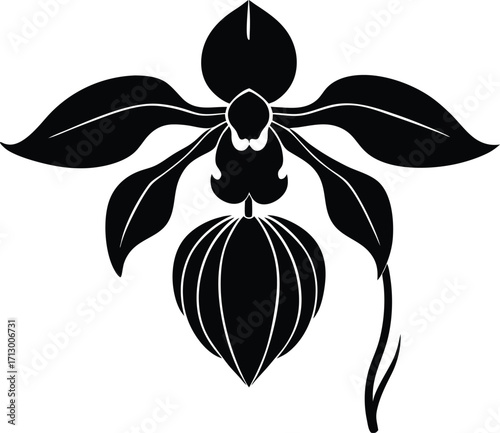 Drooping Orchid Silhouette Illustration | Orchid Flower Vector Design