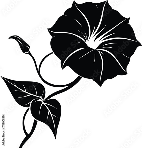 Morning Glory Twist Silhouette Illustration | Morning Glory Vector Design