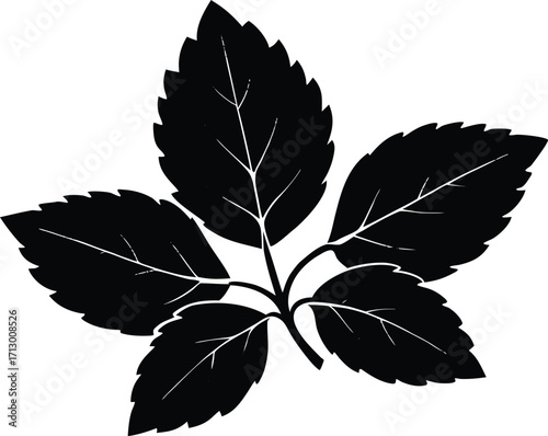 Oregano Leaf Silhouette Illustration | Oregano Herb Vector Artwork