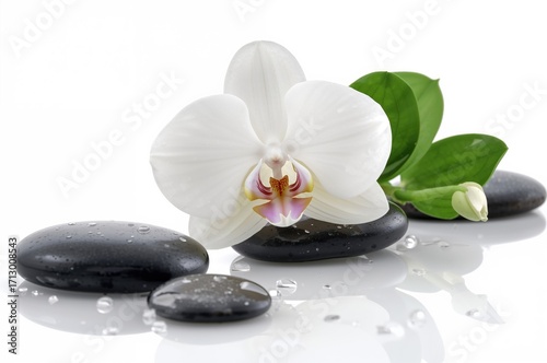 Arrangement featuring a vibrant orchid in bloom with droplets and smooth spa stones on a white background