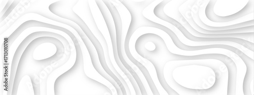 Dynamic topographic design elements forming soft flowing contours. white paper cut abstract layers. contemporary abstract shapes forming seamless layered topographic designs.	