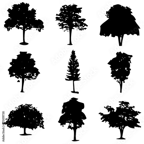 Árboles