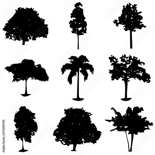 Árboles