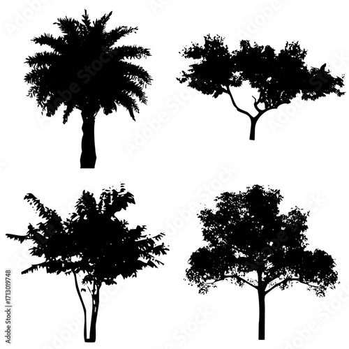 Árboles