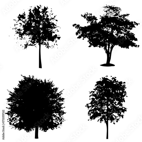 Árboles