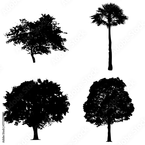 Árboles