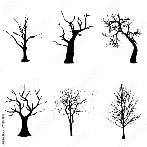 Árboles