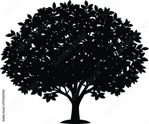 Boxwood Shrub Silhouette | Boxwood Plant Vector Illustration