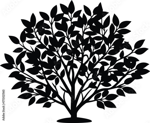 Decorative Shrub Silhouette | Decorative Plant Vector Design