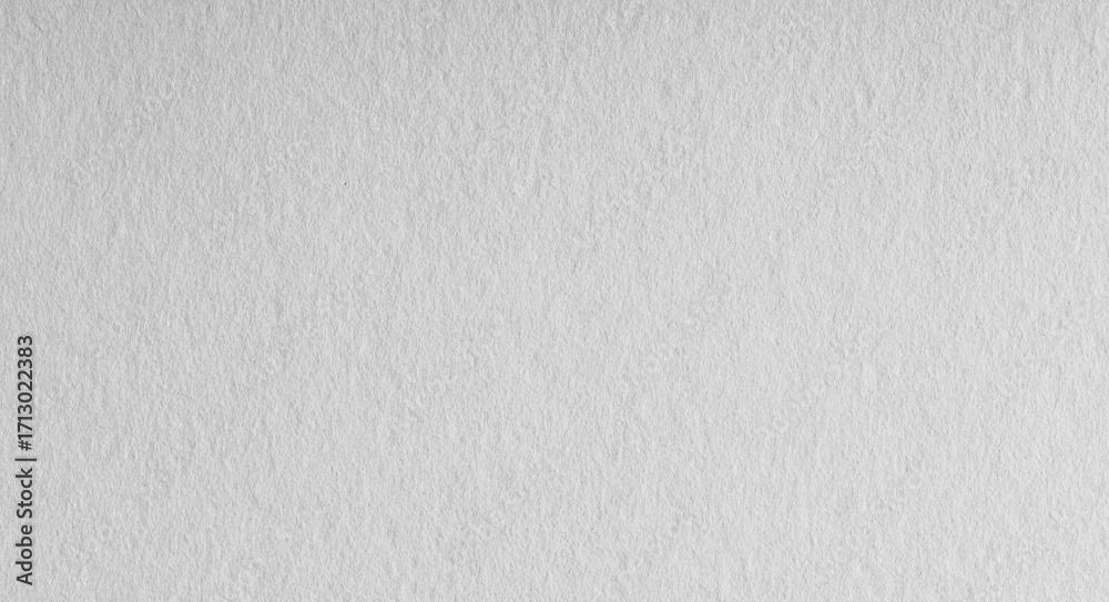 Fototapeta premium Smooth White Paper Texture Background