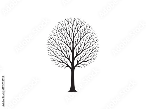 Bare Tree Silhouette vector