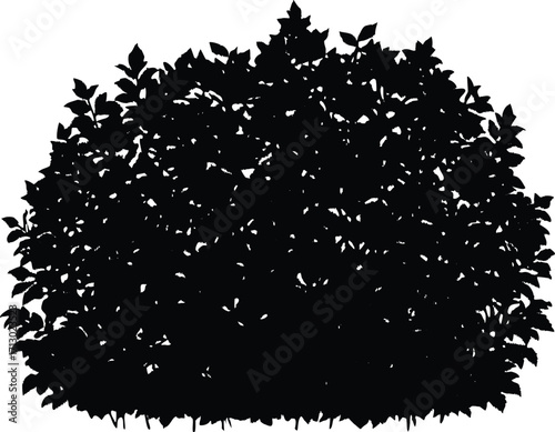 Privet Hedge Silhouette | Privet Plant Vector Design