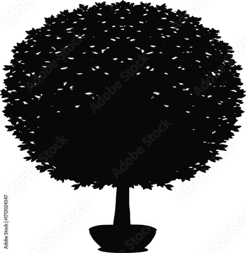 Topiary Shrub Silhouette | Topiary Plant Vector Illustration