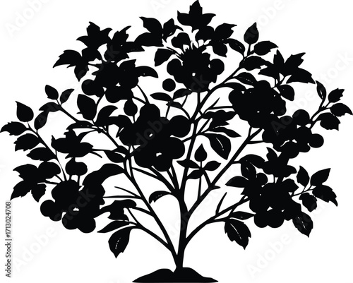 Wild Berry Bush Silhouette | Berry Plant Vector Illustration