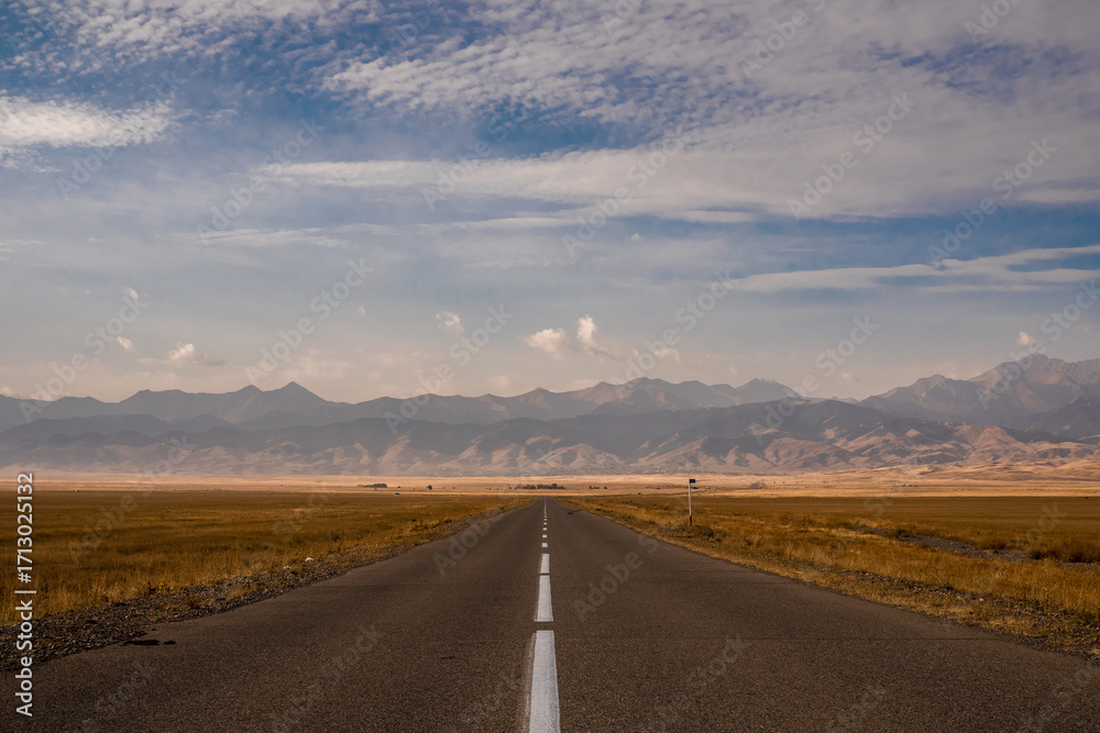 Fototapeta premium The road goes over the horizon. A conceptual symmetrical landscape, the highway goes forward and disappears into the distance. Steppe and mountains on the horizon, there are no people