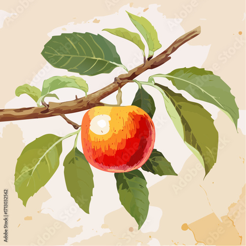 soft peach watercolor passion fruit vine on wooden trellis graphite sketch for vibrant botanical art