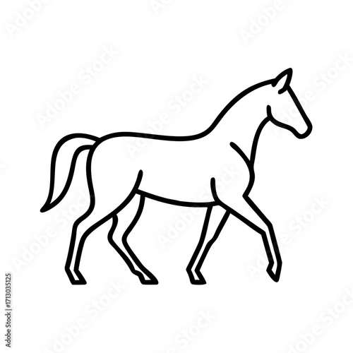 Horse line art drawing vector illustration of equestrian animal outline design graphic image icon simple