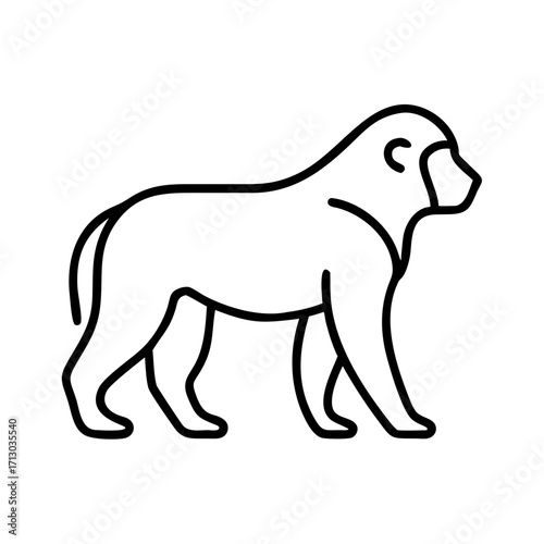 Illustration of a baboon vector outline drawing of african animal primate mammal monkey wildlife zoo nature