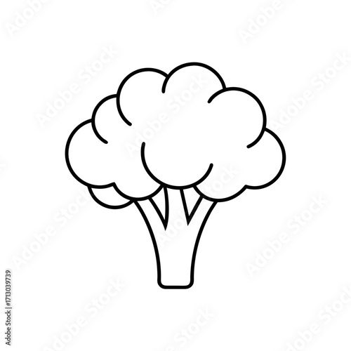 Outlined drawing of broccoli on transparent background