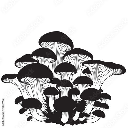 Graphic Black and White Mushroom Cluster Illustration