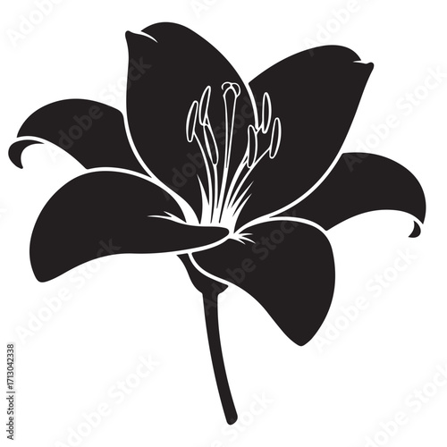 Elegant Black Lily Flower Silhouette with White Interior Details on a White Background