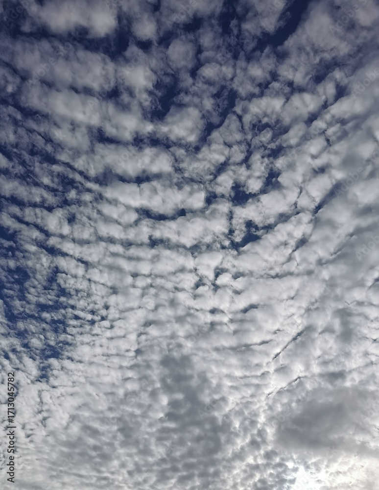 Fototapeta premium rhdr