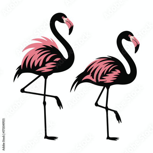 Standing Out Flamingo Silhouette