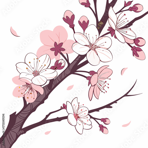 pink cherry blossom
