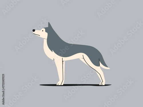 Illustration of a husky dog standing on a gray background.