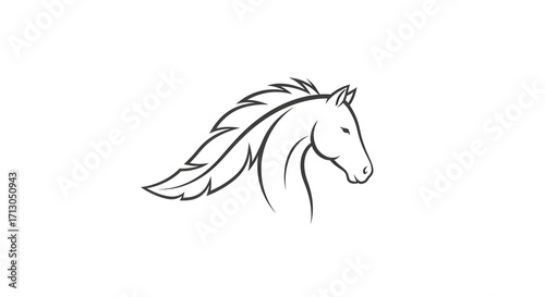 horse head vector illustration