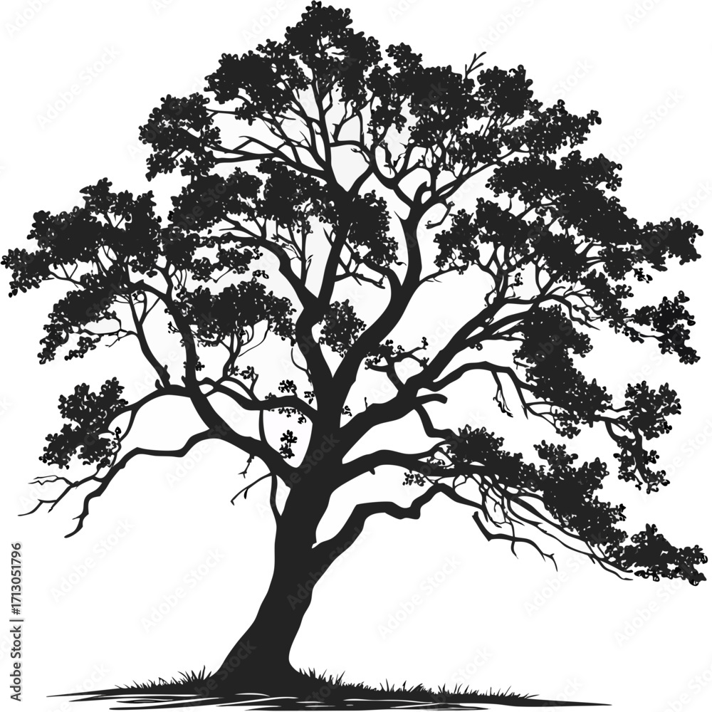 Obraz premium vector tree silhouette