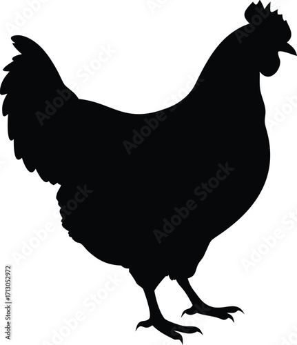 Black Silhouette of a Chicken Side View Standout Farm Animal Design Element