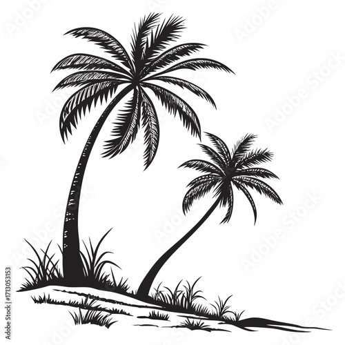 palm tree silhouette
