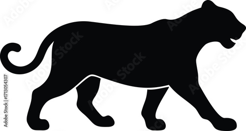 Silhouette of a Black Panther Walking Calmly and Serenely with Grace and Power