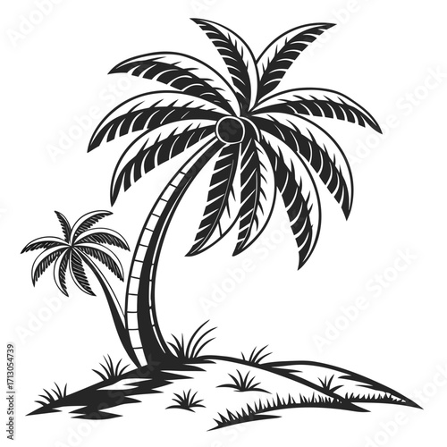 silhouette of palm tree