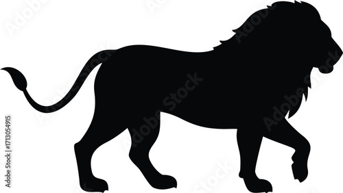 Majestic Lion Silhouette Powerful Feline Walking Proudly Wild Animal