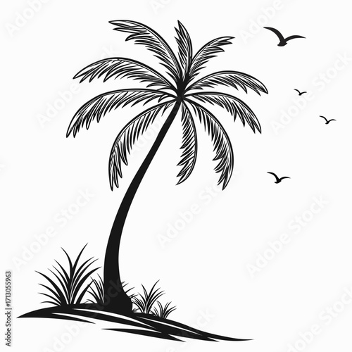 palm tree silhouette