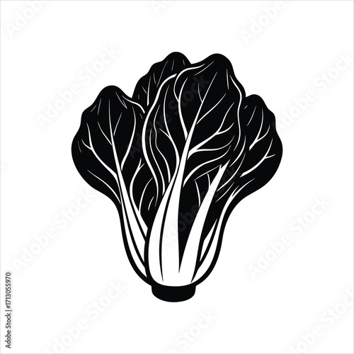 Natural Pak Choi Leaf Silhouette Graphic Design