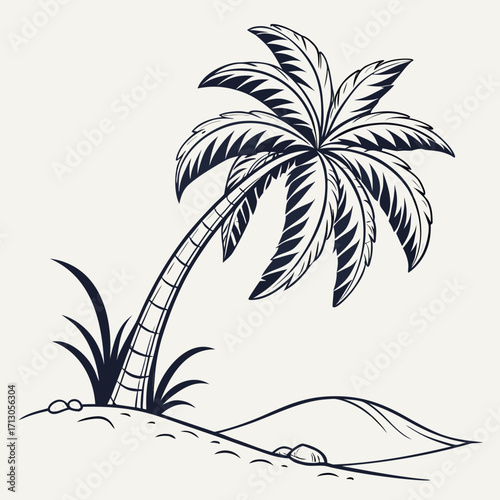 palm tree vector illustration