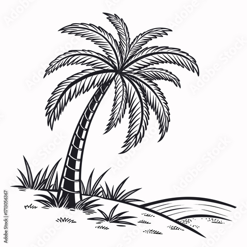 silhouette of palm trees